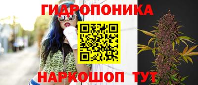 герыч Донецк